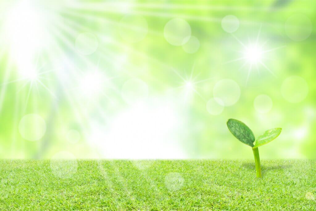 生活に困っている人のイメージ