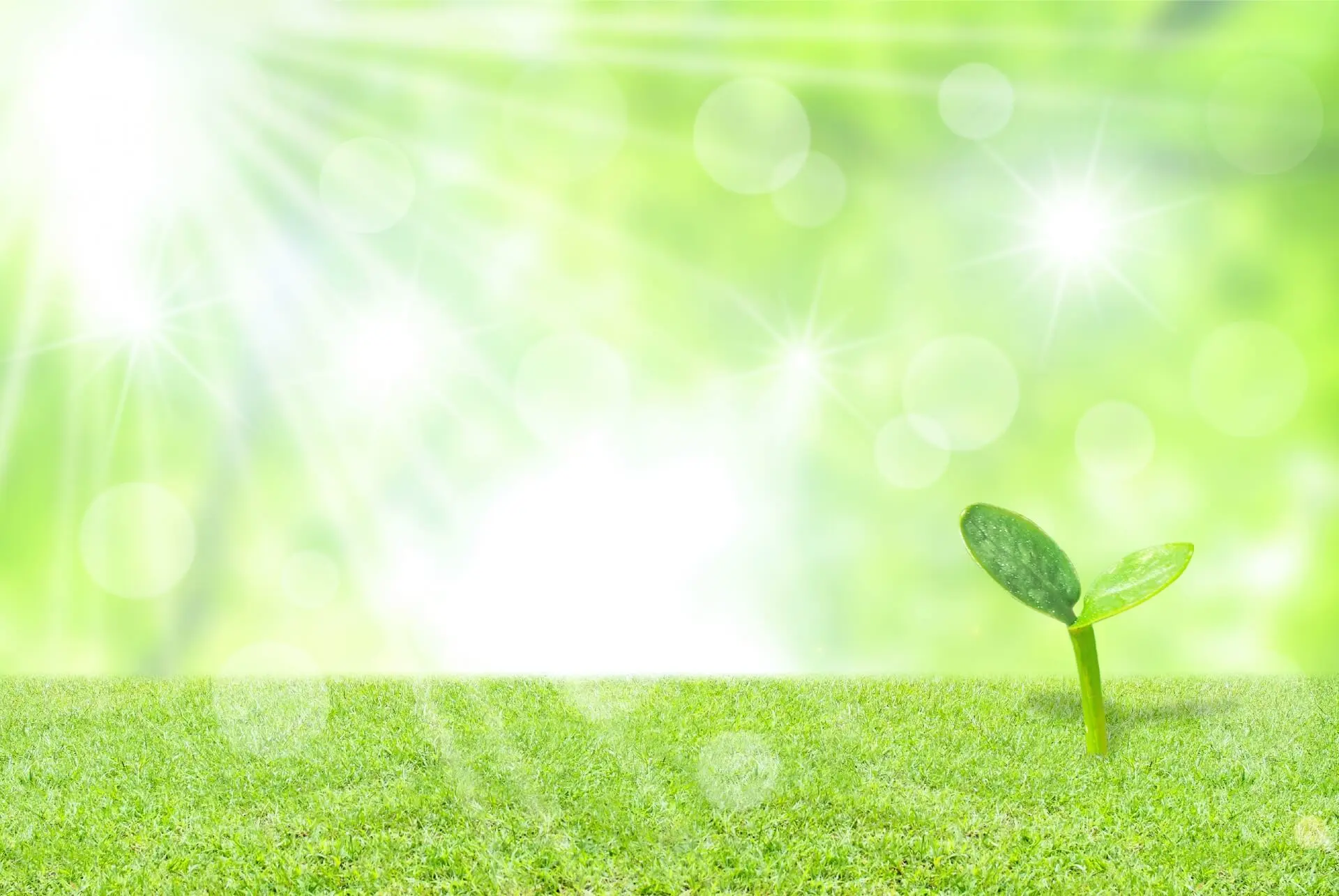 生活保護申請支援【日本人であれば保証された健康で文化的な生活】