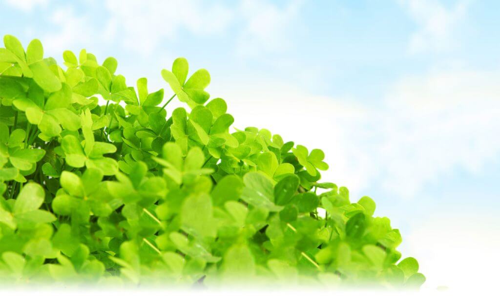 すべての人が生きられる社会のイメージ