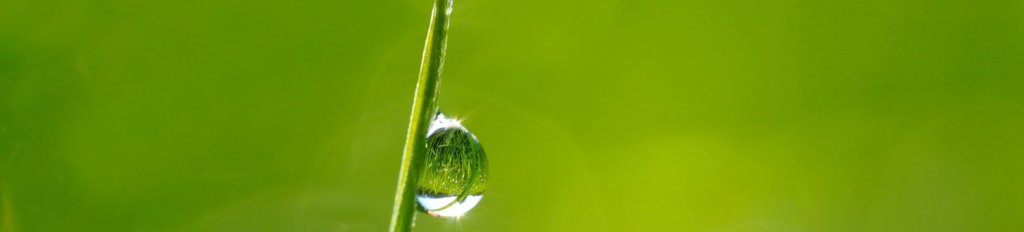 住む場所をご用意