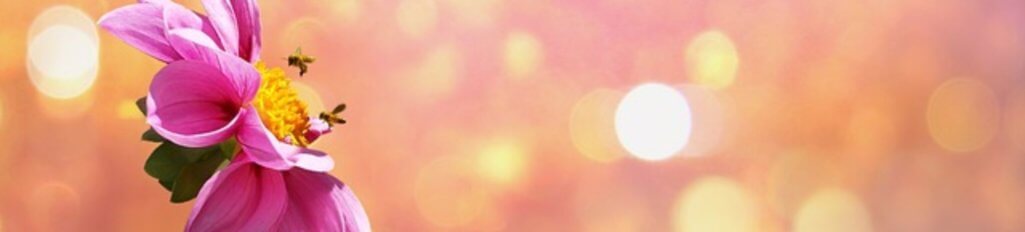 かけがえのない命